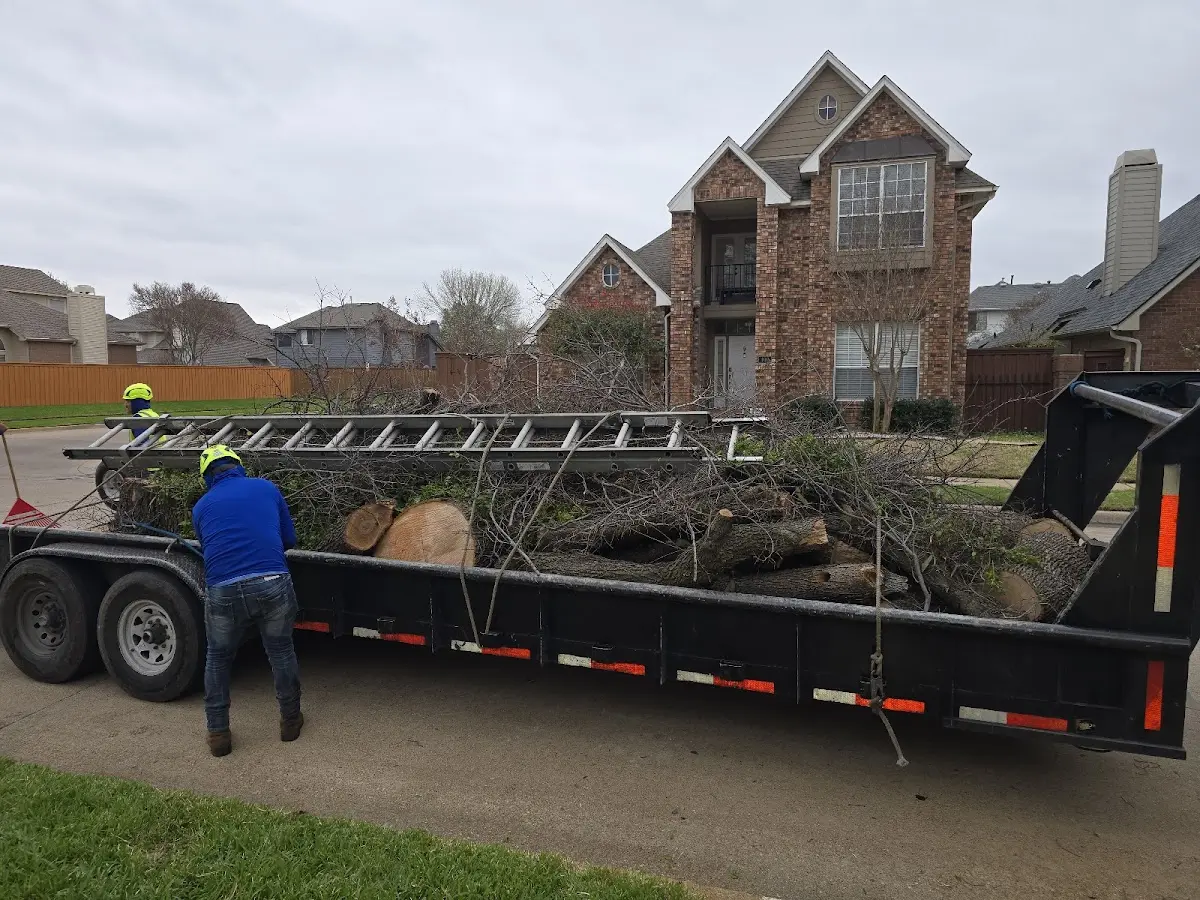 Expert Tree Fertilization with proper safety equipment in Wells